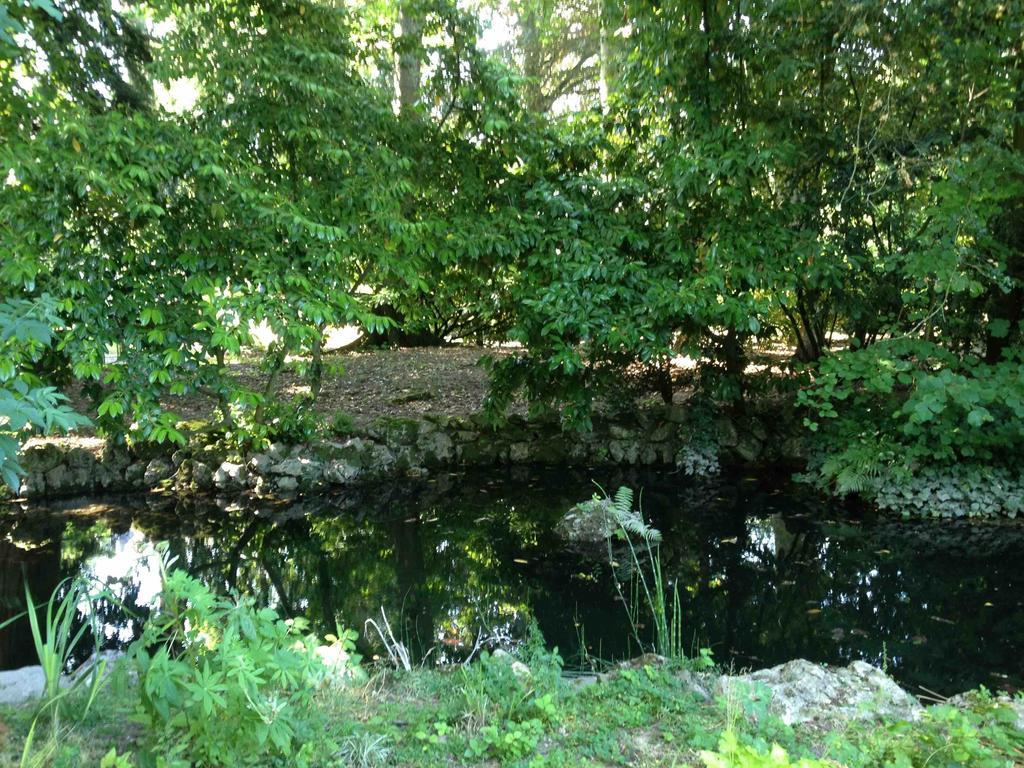 Chambre D'Hotes Les Rives De La Tronne Mer Exterior foto